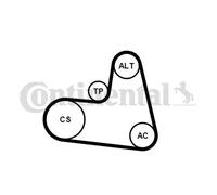 CONTINENTAL CTAM 6PK1217K1 Kit Cinghie Poly-V per CITROËN,FIAT,FORD,LANCIA,PEUGE