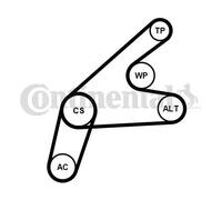CONTITECH 6PK1306K3 Kit Cinghie Poly-V