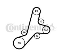 Kit cinghia trapezoidale multirighe con rullo tenditore 6PK1345K1 per FORD MAZDA