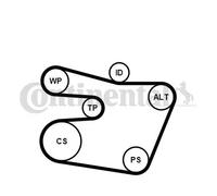 Kit cinghia trapezoidale multirighe con rullo tenditore 6PK1538K1 per BMW 7 3 5