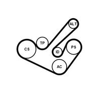 CONTITECH 6PK1555K9 Kit Cinghie Poly-V