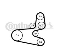 CONTITECH Kit cinghie Poly-V 6PK1560K1 con rullo tenditore per Citroën, Peugeot