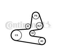 CONT ITech 6pk1564 K1 cinghia trapezoidale Set