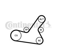 CONTITECH 6PK1564K2 Kit Cinghie Poly-V