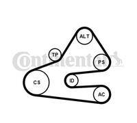 CONTITECH 6PK1613K1 - Set di cinghie trapezoidali