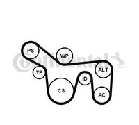 ContiTech Kit cinghie Poly-V 6PK1715K1 con rullo tenditore per FORD