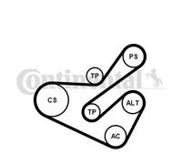 CONTINENTAL CTAM 6PK1740K1 Kit Cinghie Poly-V per CITROËN,FIAT,LANCIA,PEUGEOT