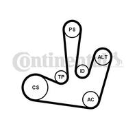 Kit cinghia trapezoidale multirighe con rullo tenditore 6PK1795K1 per MITSUBISHI