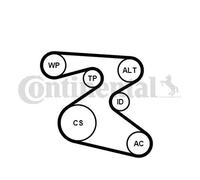 Kit cinghia trapezoidale multirighe con rullo tenditore 6PK1873K1 per SKODA SEAT