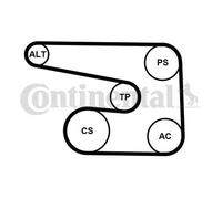 CONTITECH 6PK1873K5 Kit Cinghie Poly-V