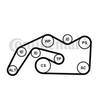 Set di cinghie Poly-V CONTINENTAL 6PK2490K1