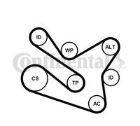 Kit cinghia trapezoidale multirighe con rullo tenditore 7PK1570K1 per RENAULT