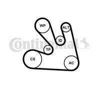 Set di cinghie Poly-V CONTINENTAL 7 PK 1705 K1
