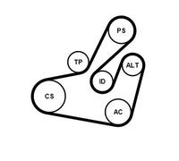 Kit cinghia trapezoidale multirighe con rullo tenditore 7PK1834K1 per NISSAN