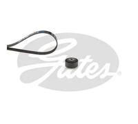 Kit cinghia trapezoidale multirighe K015PK908 GATES per RENAULT CLIO II CLIO I