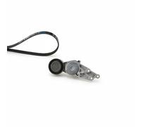 GATES K025PK1303 Kit Cinghie Poly-V