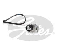 Kit cinghia trapezoidale multirighe K026PK1305 GATES per FORD VOLVO