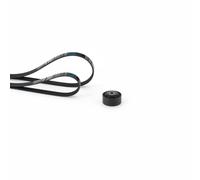 Gates Kit Cinghie Poly-V K033PK738 per Dacia, Nissan, Proton, Renault