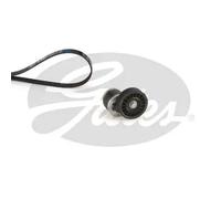 Kit cinghia trapezoidale multirighe K035PK1590 GATES per AUDI VW
