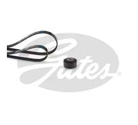 Kit cinghia trapezoidale multirighe K053PK738 GATES per DACIA RENAULT NISSAN