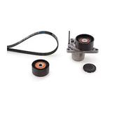 Kit cinghia trapezoidale multirighe K057PK1325 GATES per OPEL RENAULT