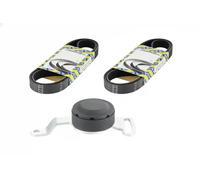 NTN-SNR Kit cinghia trapezoidale multirighe KA851.04 per Smart City-Coupe Roadster