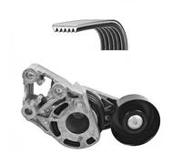 DAYCO Kit Cinghie Poly-V