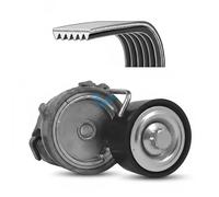 DAYCO Kit Cinghie Poly-V