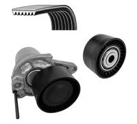 DAYCO KPV552 Kit Cinghie Poly-V