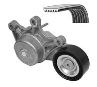 DAYCO Kit Cinghie Poly-V