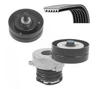 Dayco Kit cinghie Poly-V KPV698 per Opel, Vauxhall