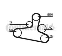 Kit cinghia trapezoidale multirighe senza rullo tenditore 6DPK1195D2 per FORD