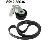 Kit cinghia trapezoidale multirighe VKMA 36036 SKF per RENAULT DACIA
