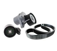 Kit cinghia trapezoidale multirighe VKMA 36116 SKF