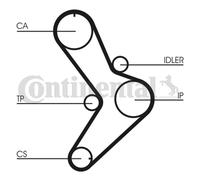 Kit cinghia distribuzione CT731K1 CONTINENTAL CTAM per FIAT IVECO RENAULT