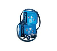 DAYCO KTB280/2 Kit cinghia di distribuzione