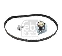 Kit Cinghie Dentate Febi Bilstein 43669 per Renault Suzuki
