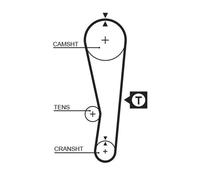 ADK87307 Kit cinghie dentate (MARCA-BLUE PRINT)