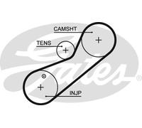 Kit cinghie dentate - GATES K015465XS