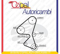 Kit cinghie dentate GATES K015656XS per CITROËN FIAT FORD MAZDA MITSUBISHI PEUGE