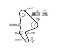 GATES K025590XS Kit cinghia di distribuzione