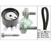 Ina 530019710 Kit Tendicinghia