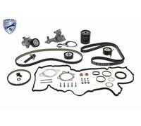 VAICO V25-3224 Kit cinghia di distribuzione