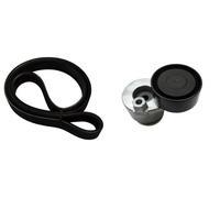 Kit Cinghie Poly-V BOLK BOL-G101009 per RENAULT CLIO 1.5 dCi (B/CB07)