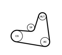 Kit cinghie poly-V CONTITECH 6PK1120K2 per AUDI A3 (8P1) 2 2004-2012