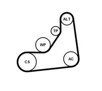 Kit Cinghie Poly-V CONTITECH 6PK1153K5 per BMW Série 1 1.5 116 d