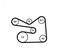 Kit cinghie poly-V CONTITECH 6PK1733K3 per AUDI A3 (8P1) 1.4 2007-2012