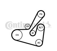 CONTITECH 6PK1750K1 Kit Cinghie Poly-V