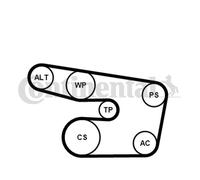 Kit Cinghie Poly V Continental Ctam 6PK1873K3 per