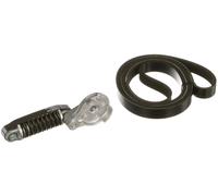 Set di cinghie Poly-V GATES K016PK803EST